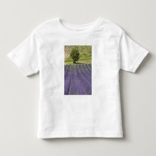Camiseta Infantil França, Provença. Fileiras de lavanda em flor.