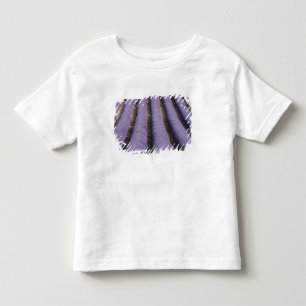 Camiseta Infantil França, Provença. Fileiras de lavanda em flor. 2