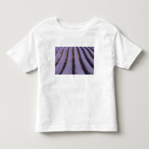 Camiseta Infantil França, Provença. Fileiras de lavanda em flor. 2