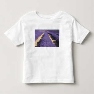Camiseta Infantil França, Provença. Fileiras de lavanda em flor. 3