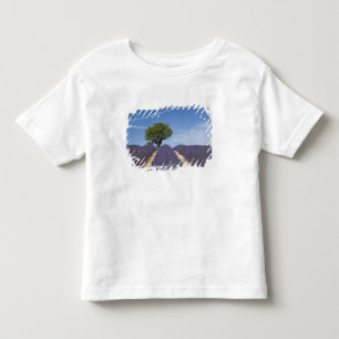 Camiseta Infantil França, Provença. Fileiras de lavanda em flor. 4