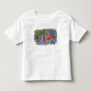 Camiseta Infantil França, Provença. Papoula solitária em campo de