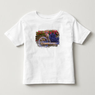 Camiseta Infantil França, Provença, Sault. Velha carroça de madeira