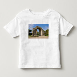Camiseta Infantil França, St. Remy de Provence, Arco do Triunfo