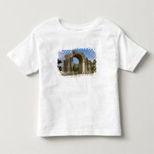 Camiseta Infantil França, St. Remy de Provence, Arco do Triunfo