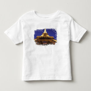 Camiseta Infantil FRANÇA, Torre Eiffel de Paris, vista noturna