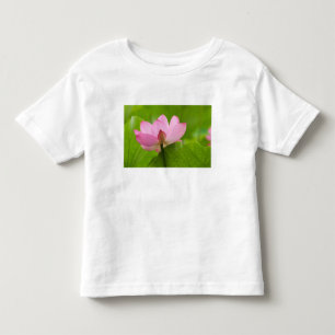 Camiseta Infantil Franklin NC, Jardim de Água de Perry, Lótus