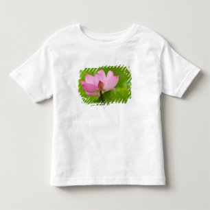 Camiseta Infantil Franklin NC, Jardim de Água de Perry, Lótus