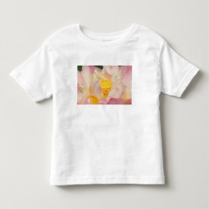 Camiseta Infantil Franklin NC, Jardim de Água de Perry, Lótus com