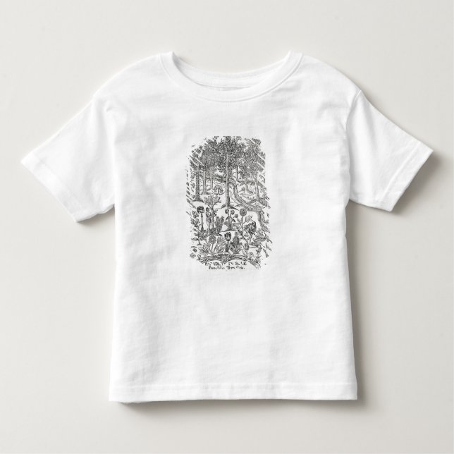 Camiseta Infantil Frontispício 'da sola Paradisi; Paradisus Terrestr (Frente)