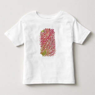 Camiseta Infantil Fumaça da pradaria na chuva em Theodore