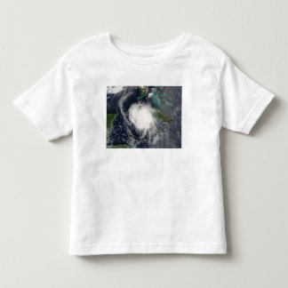 Camiseta Infantil Furacão Charley 2