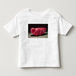 Camiseta Infantil Gafanhoto de Chapultepec, México, c.1500 (carn