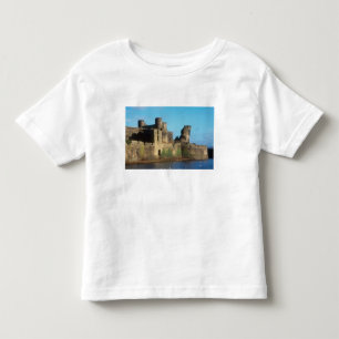 Camiseta Infantil Gales - castelo de Caerphilly, com vista para o