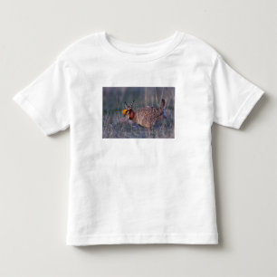 Camiseta Infantil Galinha-da-pradaria-pequena, Tympanuchus