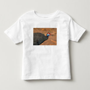 Camiseta Infantil Galinha-d'angola (Numida meleagris). África,