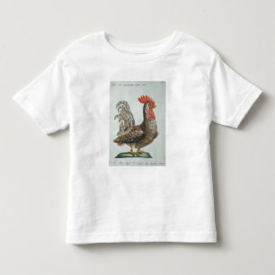 Camiseta Infantil Galo novo do anão, c.1767-76 (gravura colorida m