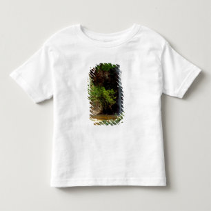 Camiseta Infantil Gana: Cachoeira Wli, também conhecida como Cachoei