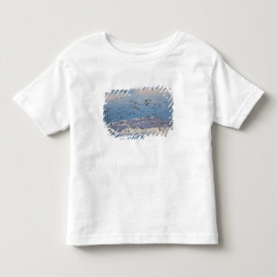 Camiseta Infantil Gansos da neve durante a migração da primavera