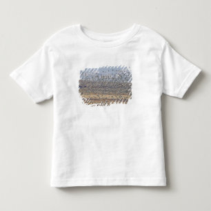Camiseta Infantil Gansos da neve durante a migração da primavera