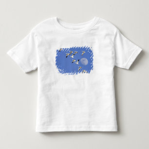 Camiseta Infantil Gansos da neve voam no Freezeout Lake NWR