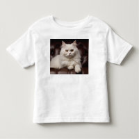 Gato branco majestoso
