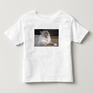 Camiseta Infantil gato Neva Masquerade bocejando