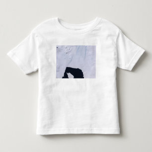 Camiseta Infantil Geleira da ilha do pinho