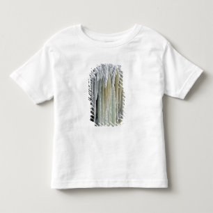 Camiseta Infantil Gelo Azul e Água Subterrânea; Tahquamenon
