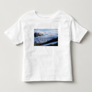 Camiseta Infantil Gelo da Geleira Exit no Parque Nacional Kenai Fjor