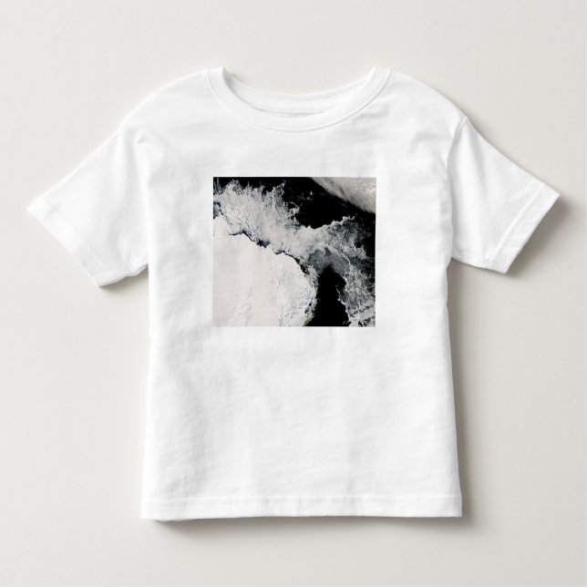 Camiseta Infantil Gelo marinho no oceano Sul (Frente)