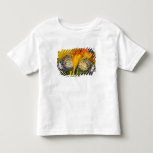 Camiseta Infantil Gêmeos de Borboleta Tropical