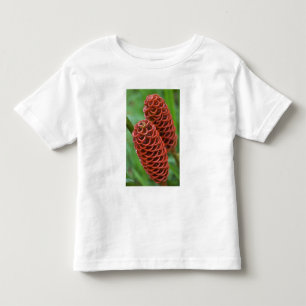 Camiseta Infantil Gengibre Colmeia, Zingiber spectabile),
