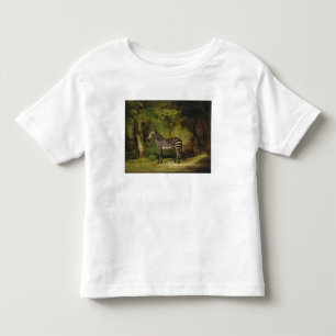 Camiseta Infantil George Stubbs A Zebra, 1763 (óleo na canvas)