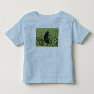 Camiseta Infantil German shepherd preto da laca