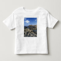 Giants Causeway, Condado de Antrim, Irlanda do Nor