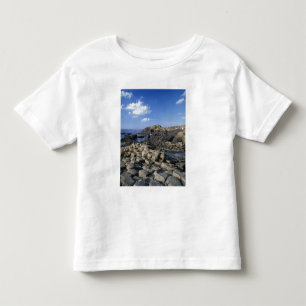 Camiseta Infantil Giants Causeway, Condado de Antrim, Irlanda do Nor