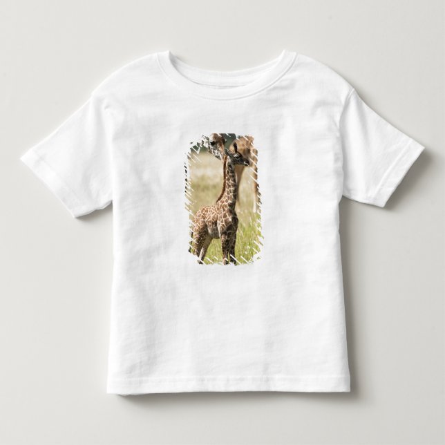 Camiseta Infantil Girafas Masai, Giraffa camelopardalis 2 (Frente)