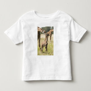 Camiseta Infantil girafas Masai, Giraffa camelopardalis 2