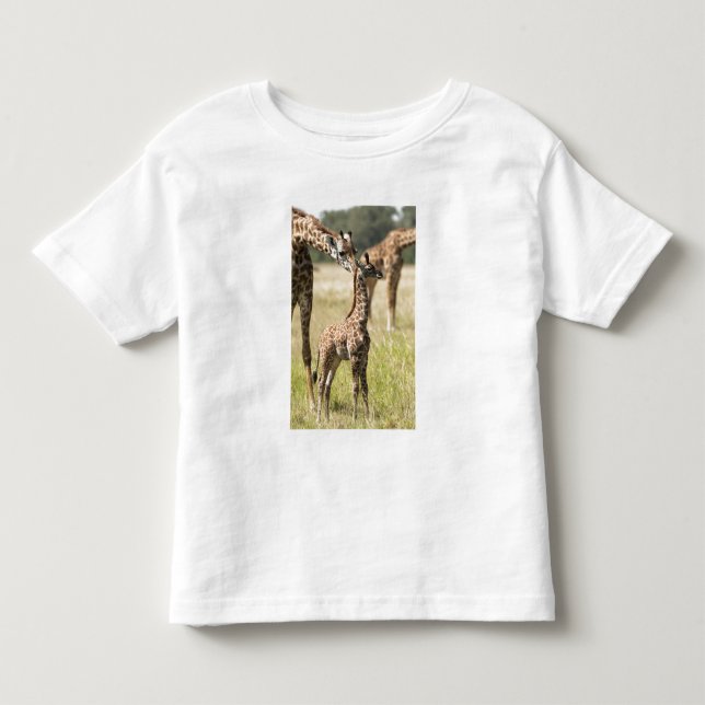 Camiseta Infantil girafas Masai, Giraffa camelopardalis 2 (Frente)
