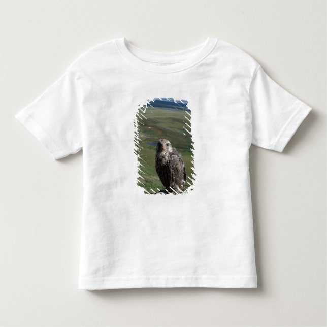 Camiseta Infantil girfalcão, Falco rusticolus, juvenis (Frente)
