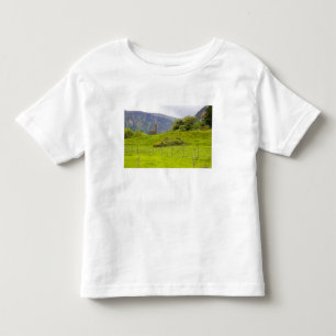 Camiseta Infantil Glendalough, Irlanda. Glendalough é um dos
