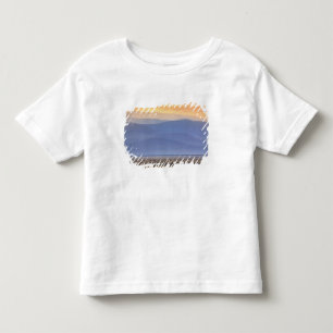 Camiseta Infantil Gnu durante migração, Connochaetes