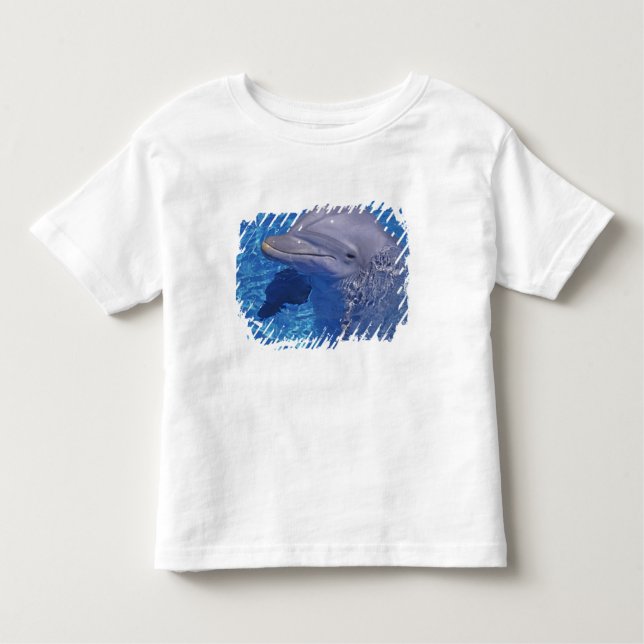 Camiseta Infantil Golfinho Estrangulado, Tursiops Truncatus (Frente)