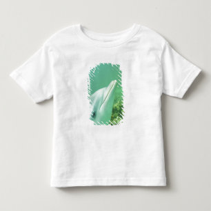 Camiseta Infantil Golfinho-nariz-de-garrafa Tursiops truncatus