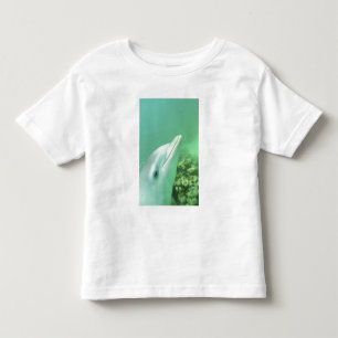 Camiseta Infantil Golfinho-nariz-de-garrafa Tursiops truncatus
