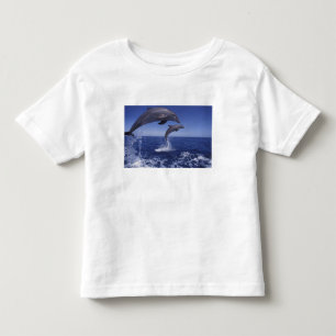 Camiseta Infantil golfinhos-do-caribe, nariz-de-garrafa