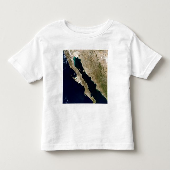 Camiseta Infantil Golfo da Califórnia (Frente)