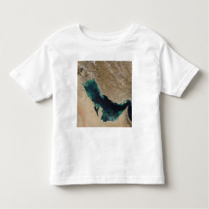 Camiseta Infantil Golfo Pérsico