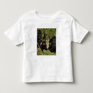 Camiseta Infantil Gorila da Montanha, adulto com filhote
